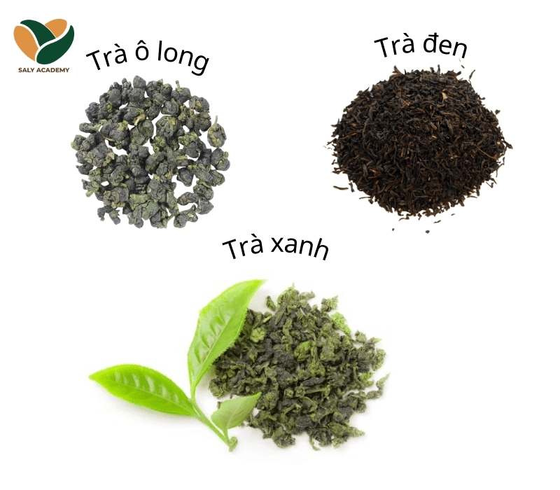 Tổng hợp các loại trà pha chế cơ bản