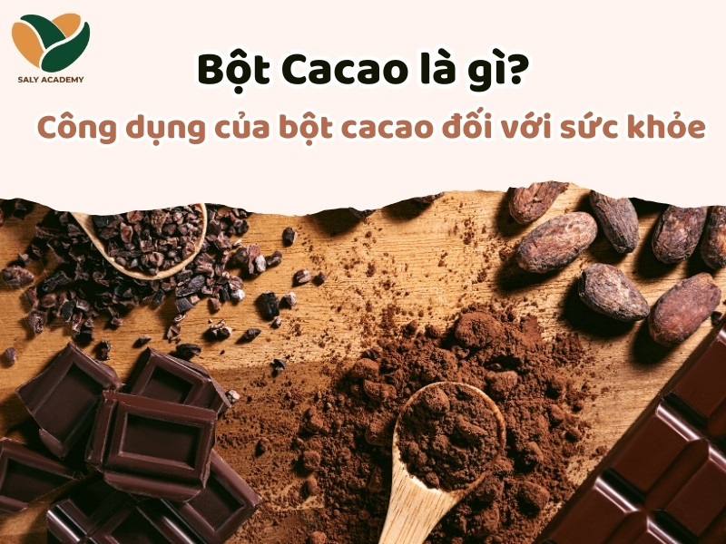 Bột Cacao là gì? Công dụng của bột cacao đối với sức khỏe