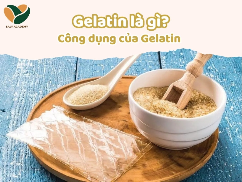 Tìm hiểu về Gelatin