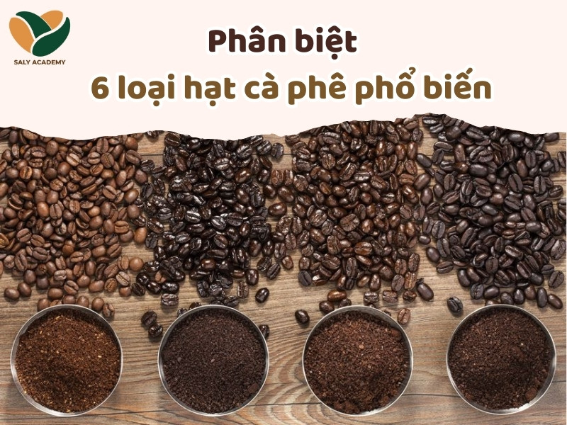 Phân biệt các loại hạt cà phê