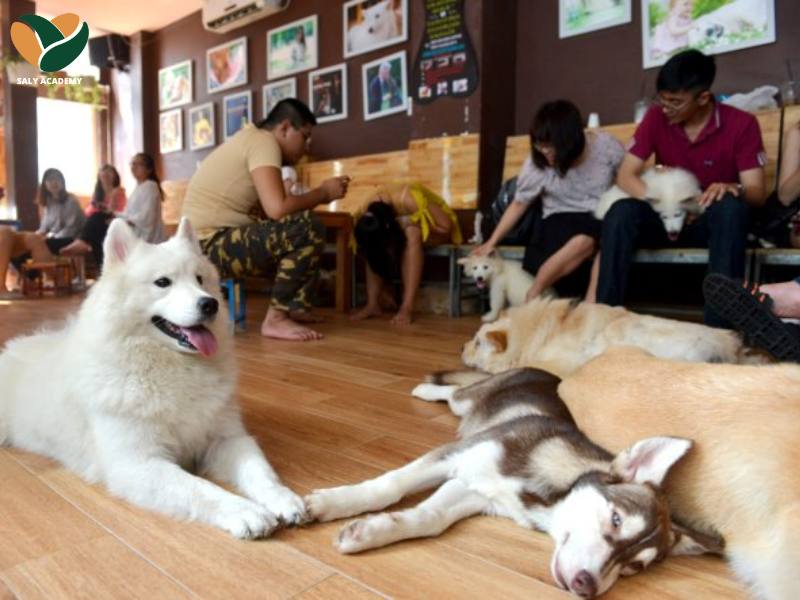 Mô hình kinh doanh trà sữa thú cưng