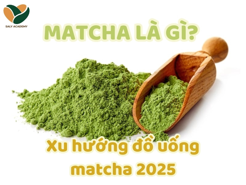 Matcha là gì? Xu hướng đồ uống với bột Matcha trong năm 2025