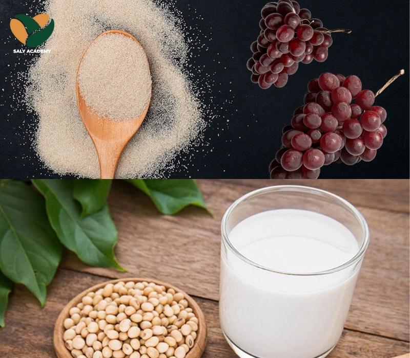 Nguyên liệu chính để làm tào phớ Nguyên liệu chính để làm tào phớ