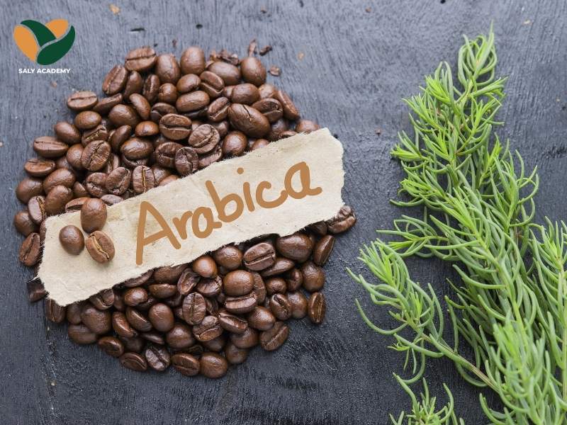 Cà phê Arabica Cà phê Arabica