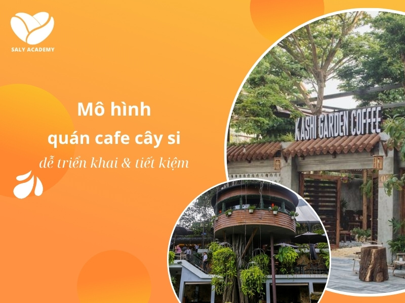 Mô hình quán cafe cây si dễ triển khai & tiết kiệm chi phí