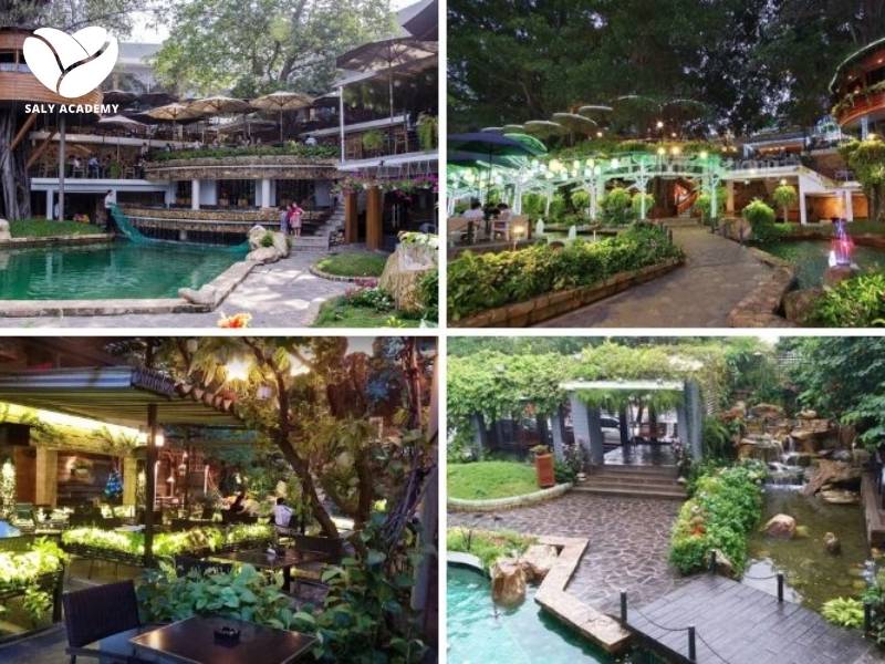 Mô hình quán cafe cây si sở hữu nhiều ưu điểm độc đáo Mô hình quán cafe cây si sở hữu nhiều ưu điểm độc đáo