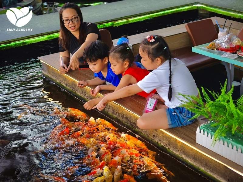 Thiết kế hồ cá Koi Thiết kế hồ cá Koi