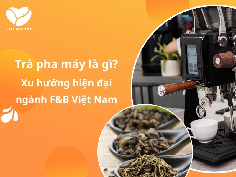 Trà pha máy là gì? Xu hướng hiện đại ngành F&B Việt Nam