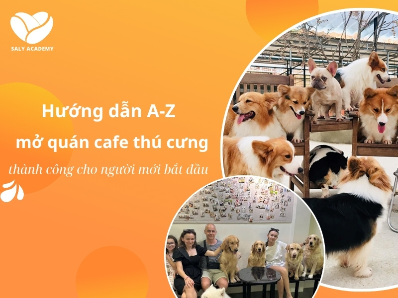 Hướng dẫn A-Z mở quán cafe thú cưng cho người mới bắt đầu