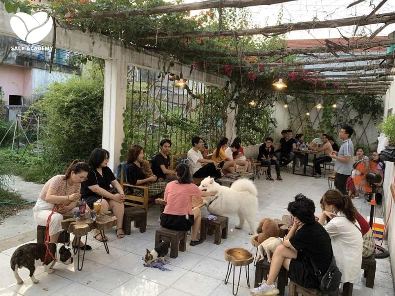 Khách hàng mục tiêu của mô hình quán cafe thú cưng Khách hàng mục tiêu của mô hình quán cafe thú cưng