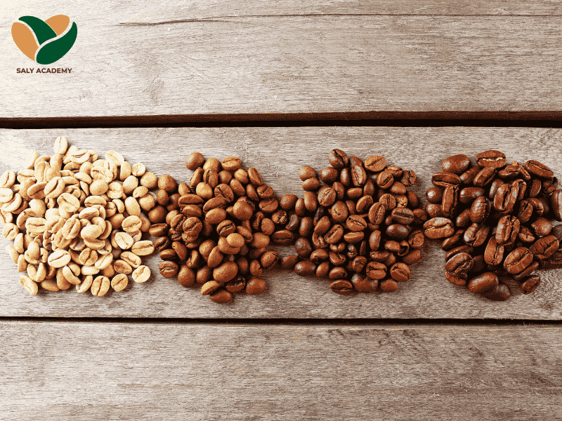 Kiến thức về hạt cà phê và nguyên liệu giúp barista tư vấn chính xác cho khách hàng