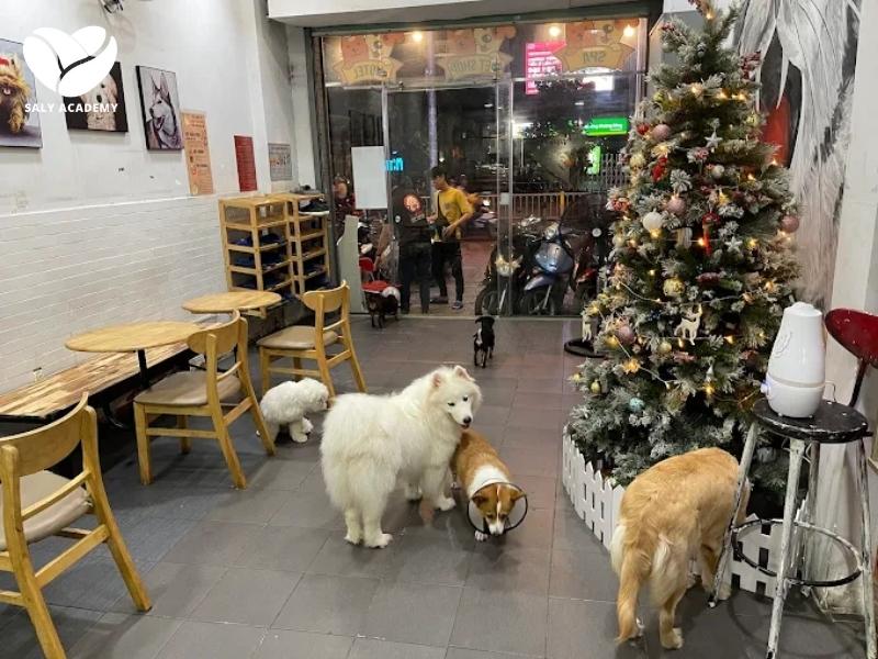 Cafe chó mang đến không khí sôi động và vui vẻ hơn so với cafe mèo Cafe chó mang đến không khí sôi động và vui vẻ hơn so với cafe mèo