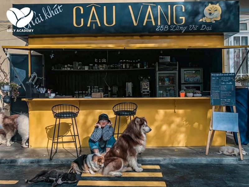 Thách thức và nhược điểm cần lưu ý khi mở quán cafe thú cưng Thách thức và nhược điểm cần lưu ý khi mở quán cafe thú cưng
