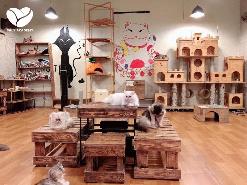 Ưu điểm nổi bật của mô hình cafe thú cưng