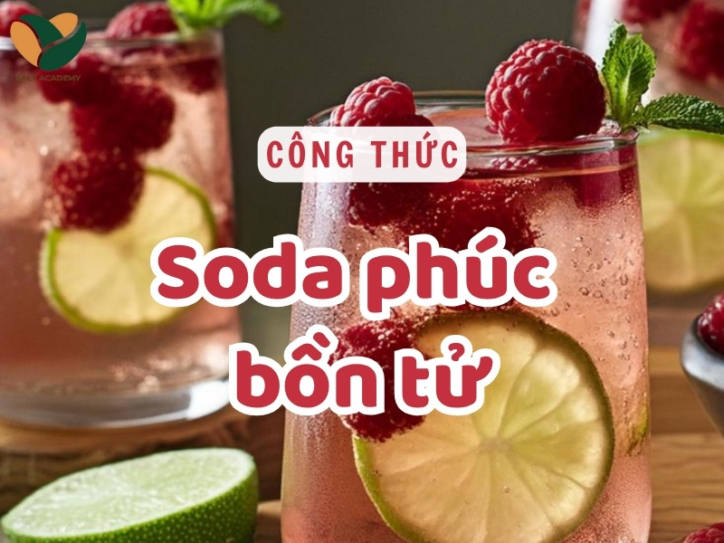 Cách Pha Soda Phúc Bồn Tử Ngon