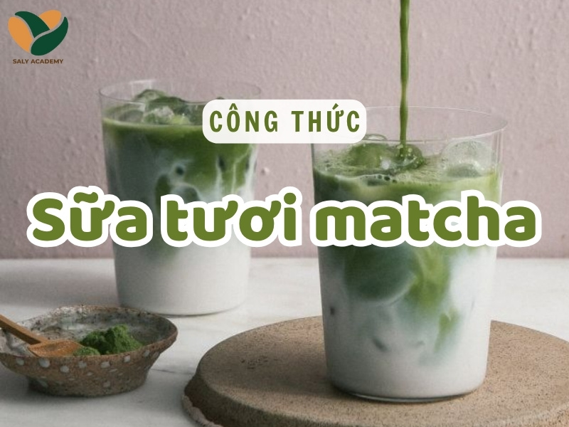 Công thức làm sữa tươi matcha thơm béo, chuẩn vị quán kinh doanh
