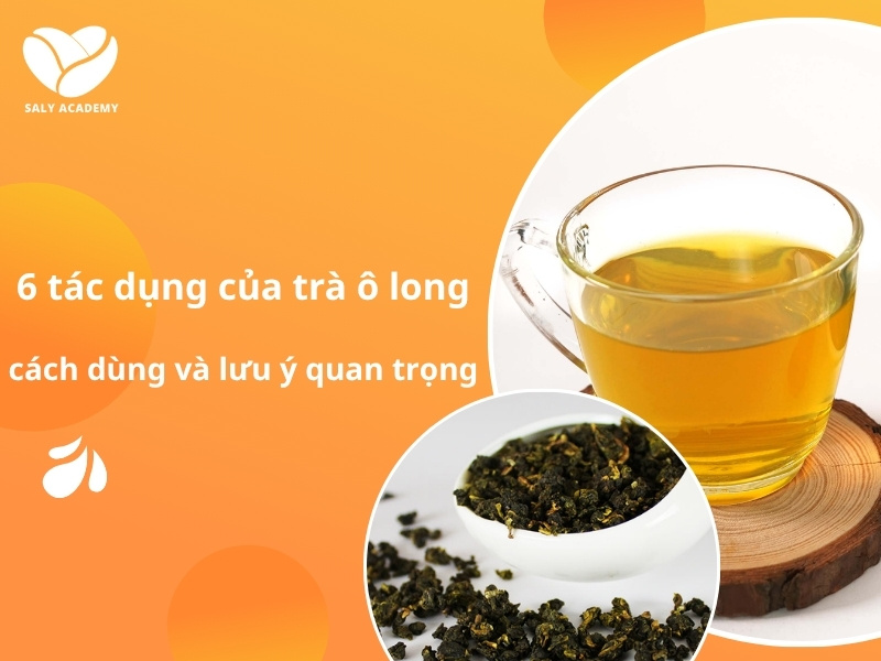 6 tác dụng của trà ô long, cách dùng và những lưu ý quan trọng 6 tác dụng của trà ô long, cách dùng và những lưu ý quan trọng