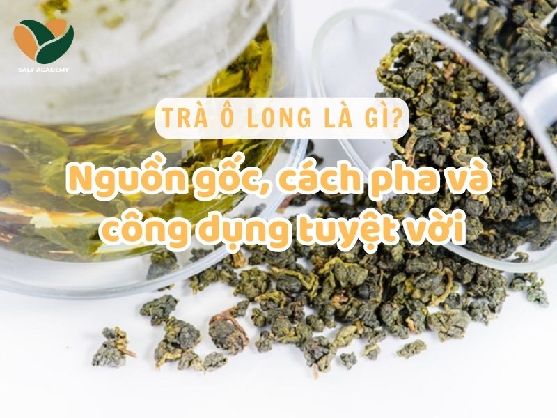 Trà ô long là gì? Nguồn gốc, cách pha và công dụng trà mang lại