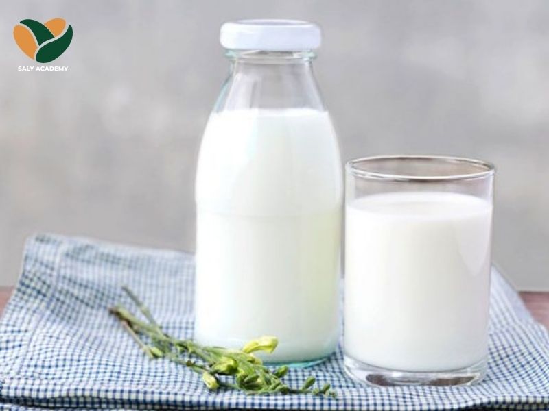 Sữa tươi không đường có bao nhiêu calo? Sữa tươi không đường có bao nhiêu calo?