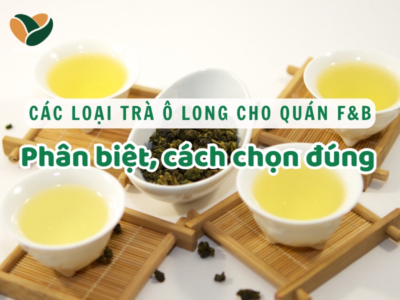 Các loại trà ô long cho quán F&B: Cách phân biệt, cách chọn đúng