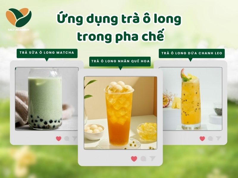 Ứng dụng của trà ô long trong pha chế