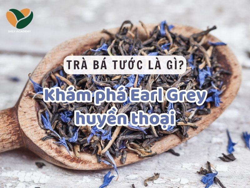 Trà bá tước là gì? Khám phá Earl Grey huyền thoại Trà bá tước là gì? Khám phá Earl Grey huyền thoại