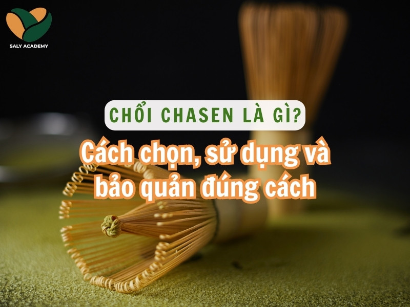 Chổi chasen là gì? Cách chọn, sử dụng và bảo quản chuẩn