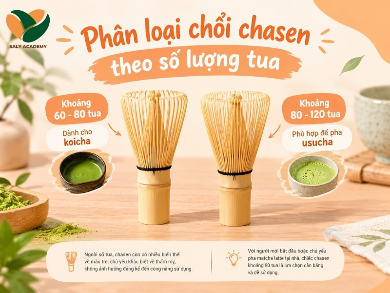 Phân loại chổi chasen theo số lượng tua Phân loại chổi chasen theo số lượng tua